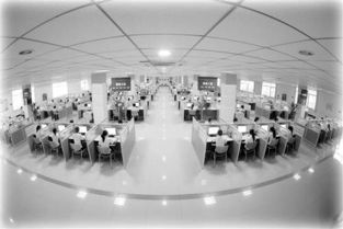 永川 构筑软件服务外包高地，全力构建智慧城市产业生态圈