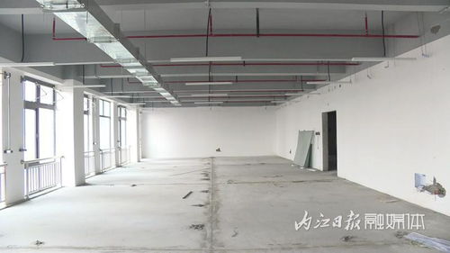 跑出“加速度”，内江软件与信息技术服务外包产业园一期项目建设进度条已达95%