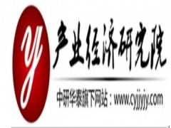 中国软件服务外包行业市场现状调研及投资战略研究报告