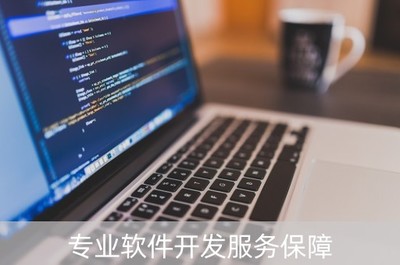 专业软件开发服务保障与计算机网络维护 构建企业数字化坚实底座